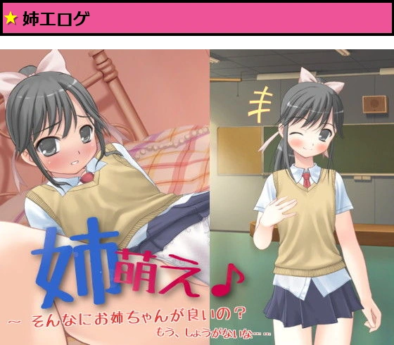 姉萌え♪ ? そんなにお姉ちゃんが良いの？ もう、しょうがないな……【apkファイル単体の販売です】