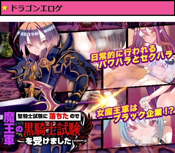 聖騎士試験に落ちたので魔王軍の黒騎士試験を受けました