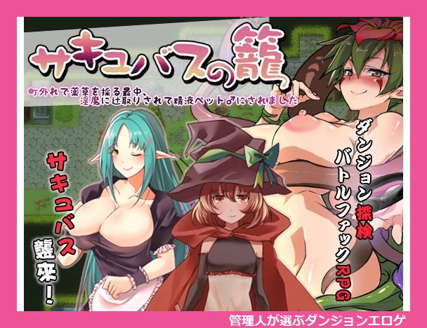 サキュバスの籠 - 町外れで薬草を採る最中、淫魔に辻取りされて精液ペット♂にされました