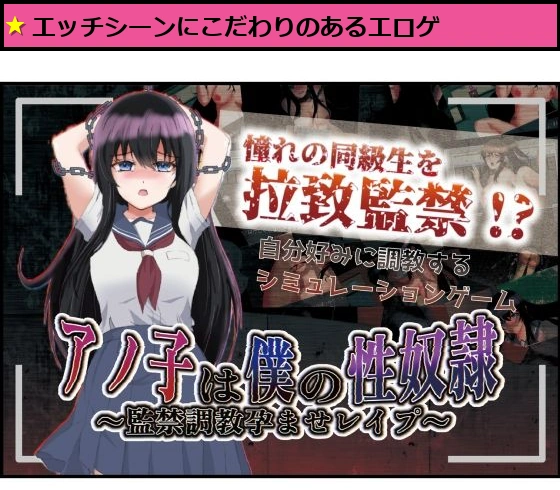 アノ子は僕の性奴● 監禁調教孕ませレ●プ