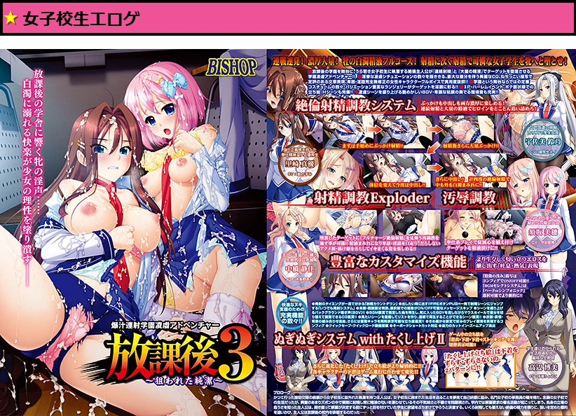 放課後3 〜狙われた純潔〜【萌えゲーアワード2016 エロス系作品賞BLACK 受賞】