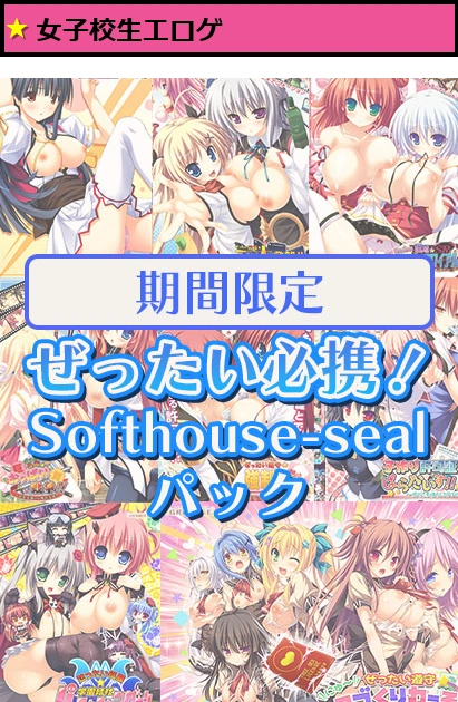 【期間限定】ぜったい必携！Softhouse-sealパック