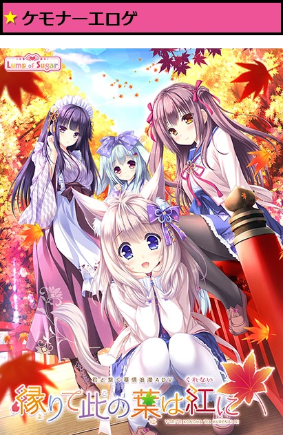 縁りて此の葉は紅に 普及版