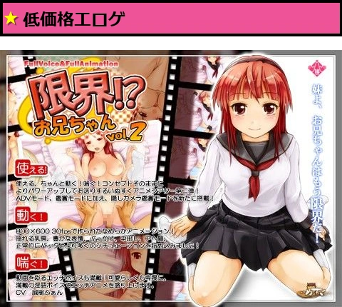 限界！？お兄ちゃん vol.2