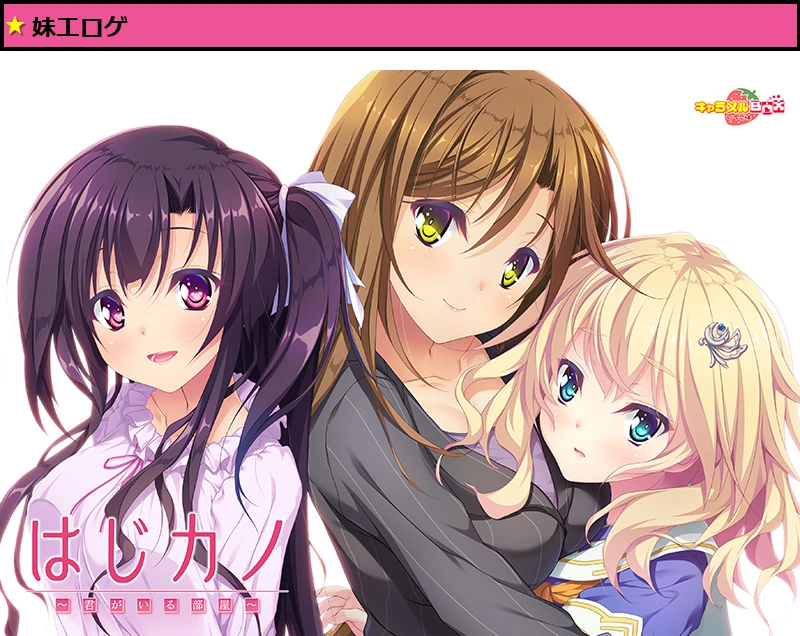 はじカノ ?君がいる部屋? 普及版