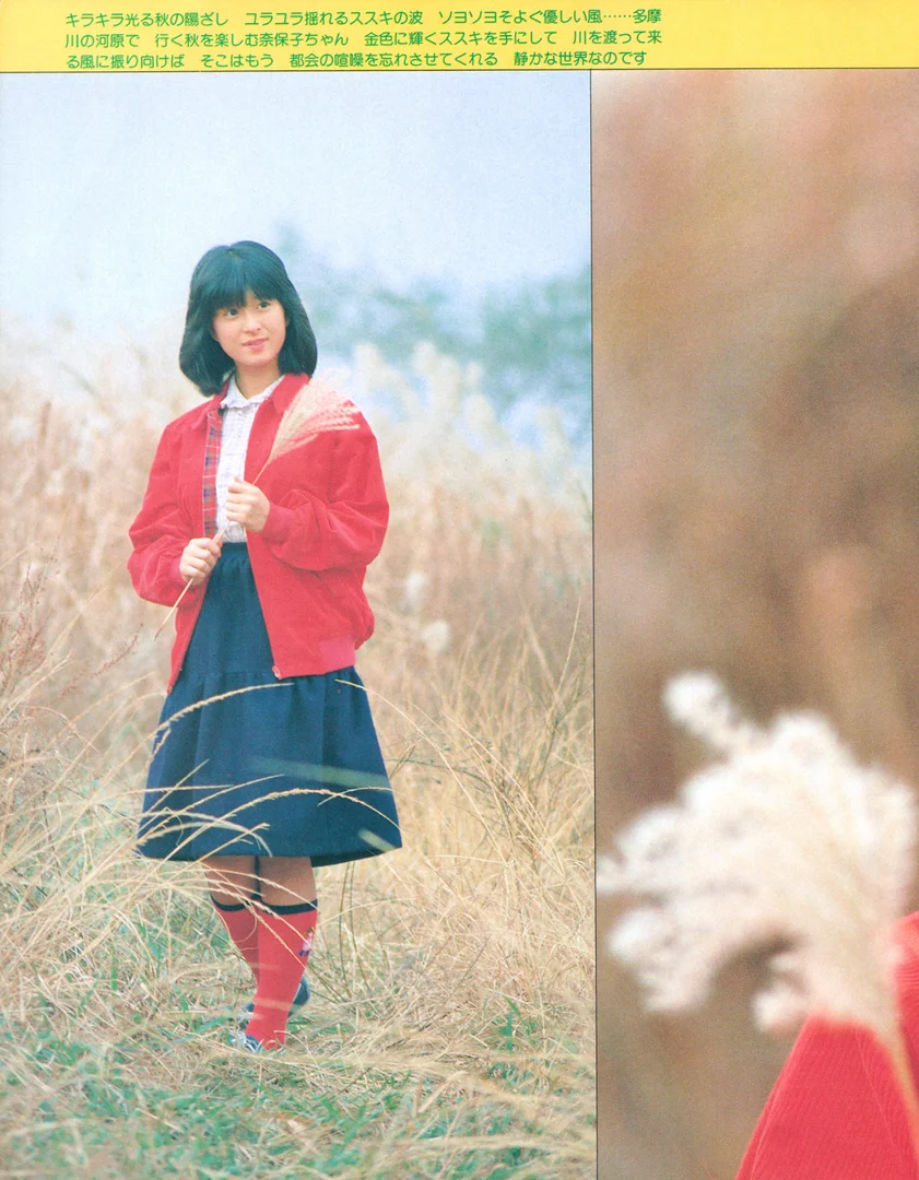 河合奈保子 ヌード画像