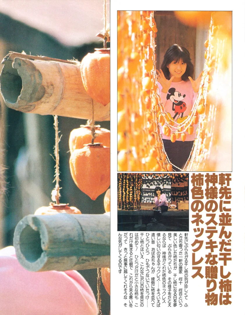 河合奈保子 グラビア画像
